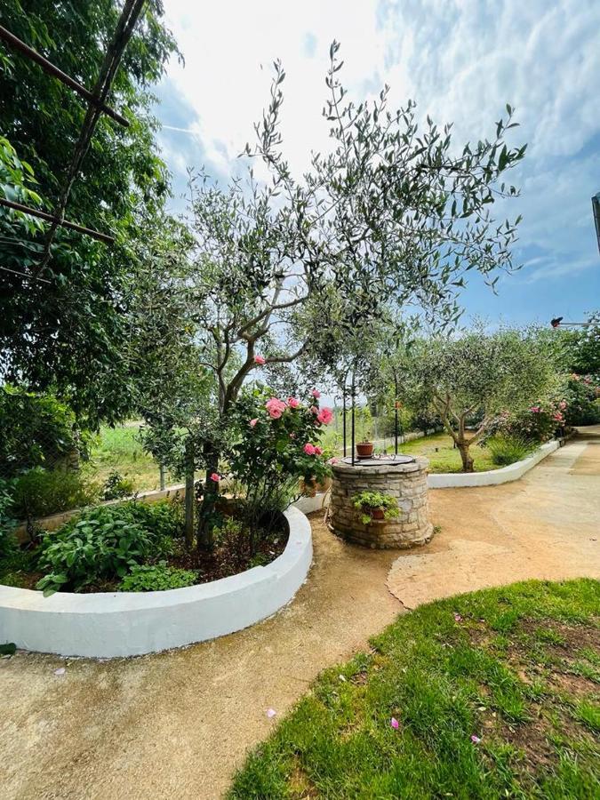 Pomerino Apartmans Luaran gambar